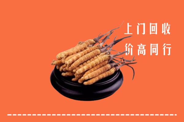 高价求购：临沧市云县回收散虫草