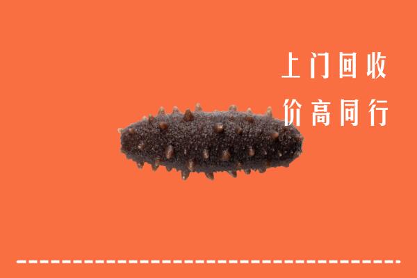 高价求购：临沧市云县回收海参