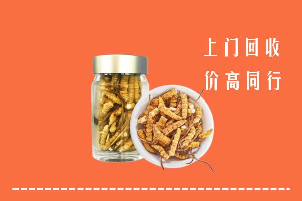 临沧市云县回收冬虫夏草